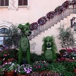 Kristine Hurst Matter - @krishurst2 - Instagram
