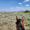 Krista Irwin - @kristairwin - TikTok
