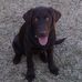 Kris Jernigan - Facebook