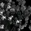 kris_karr - @kris_karr4 - TikTok