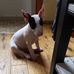 Kris Karry - Facebook