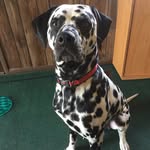 Kris Keefer Merillat - @kkb620 - Instagram