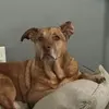 Kris Keith - @kris.keith7 - TikTok