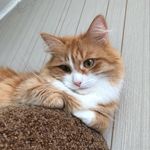 Kris Krueger - @_kris_krueger_ - Instagram