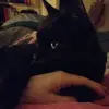 Kris Lamb - @kris.lamb39 - TikTok
