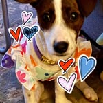 Kristine Langley - @langleykris1117 - Instagram