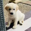 kristi.lanham - @kristi.lanham - TikTok