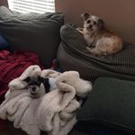 A Kris Lindley - @akrislindley - Instagram