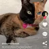 Kristoffer Ask Lundg - @kristofferasklundgrenni3 - TikTok