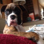 Kris Mapes - @kmapes80 - Instagram