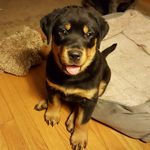 Kris Marek - @krismarek - Instagram