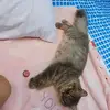 krisMathews11 - @krismathews11 - TikTok