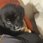 Kris Mauro - @j4379257 - Instagram