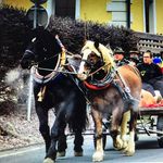 Krismayer_Transporte - @krismayer_transporte - Instagram
