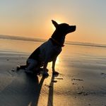 Kris McBride - @krismcbride21 - Instagram