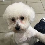 Chris - @kris.mccall60 - Instagram