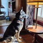 Kris McCall - Facebook