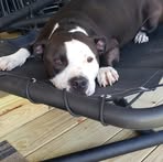 Chris Mcgrew - Facebook