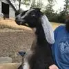 Krista - @kristamcgrew - TikTok