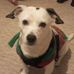 Kris Miles - Facebook