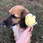 Kris Moon - @kristiendless - Instagram