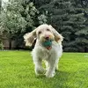 Kristin Muir - @kristin.muir - TikTok