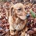 Kris Muller - Facebook