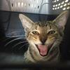 Kris Northrup - @kris.northrup1 - TikTok