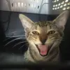 Kris Northrup - @kris.northrup1 - TikTok