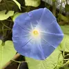 kris.northrup - @kris.northrup - TikTok