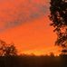 Krista Northrup - Facebook