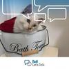 Krista Northrup - @kristanorthrup - TikTok