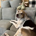 Kris Ellis Ogle - @krisogle71 - Instagram