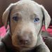 Krissy Ogle - Facebook