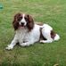 Kris Orr - Facebook