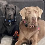 Kris Owens - @krisowens1020 - Instagram