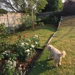 Kris.parrington - @kris.parrington - Instagram