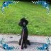 Krista Pfeiffer - Facebook
