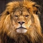 Kris Pickering - @kris_avfc_pick - Instagram