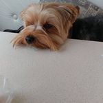 Kris Ellsworth Quinn - @kris_quinn33 - Instagram