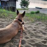 Kristine Rader-miller - @krisradermiller - Instagram