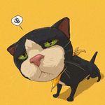 Kris Richter - @krisrichter73 - Instagram