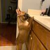 Kris.Riggs - @kris.riggs - TikTok