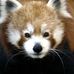 Kris Roberson - Facebook