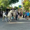 Kristof Schaffer - @kristofschaffer - TikTok