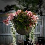 Kris Schroeder Garcia - @klg398 - Instagram