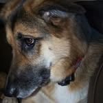 Kris Durfee Schultz - @krisschultz6765 - Instagram