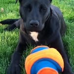 Kris Schultz - @lab_schultz - Instagram