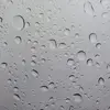 Kris Schultz - @kris.schultz72 - TikTok