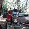 Kris Shafer382 - @krisshafer28 - TikTok